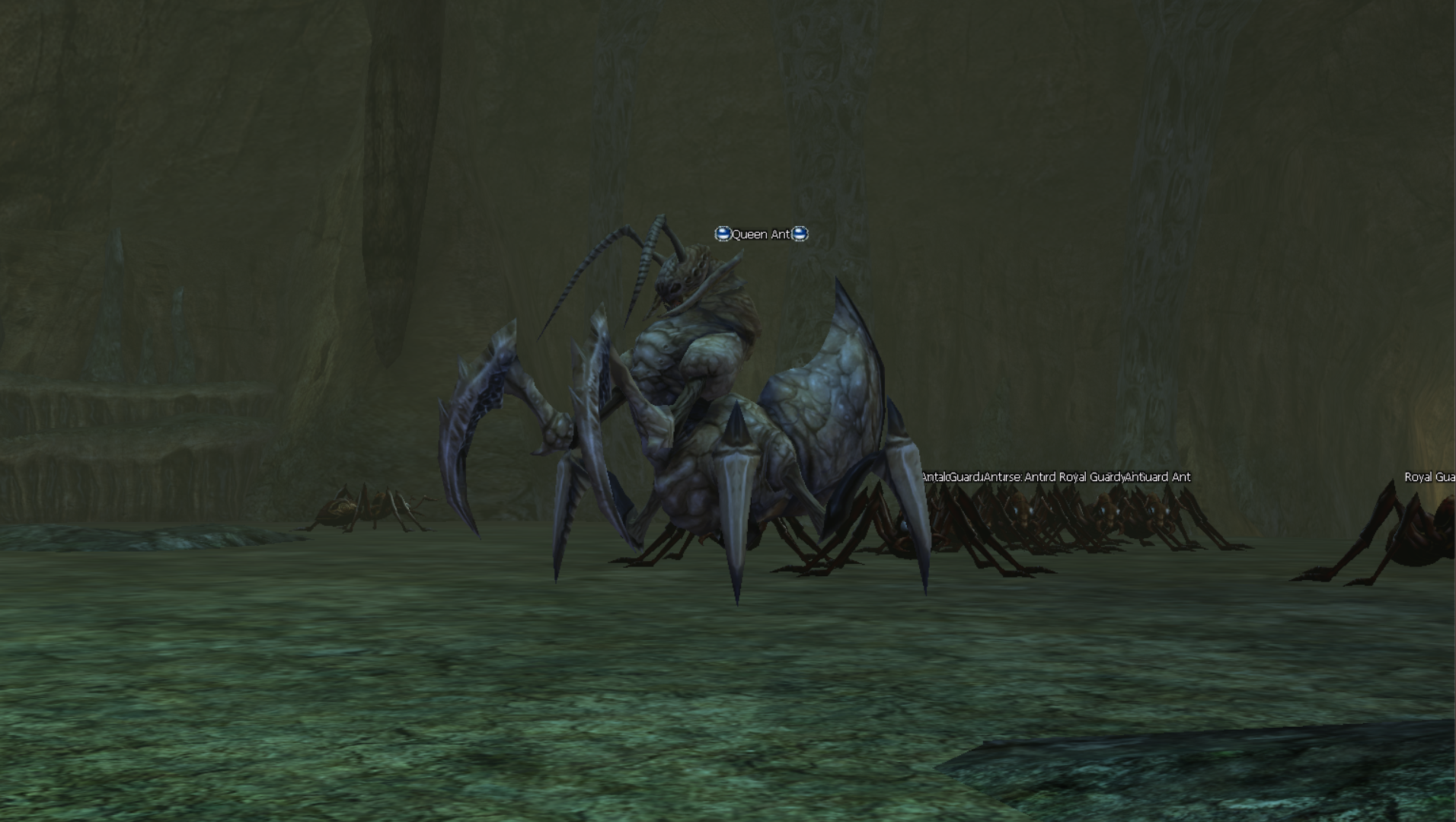 Queen Ant